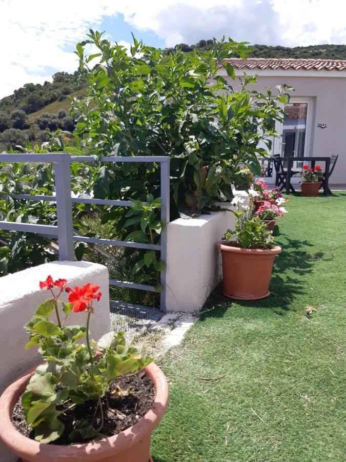 Sole&Sale Bed & Breakfast Сан Теодоро Екстериор снимка