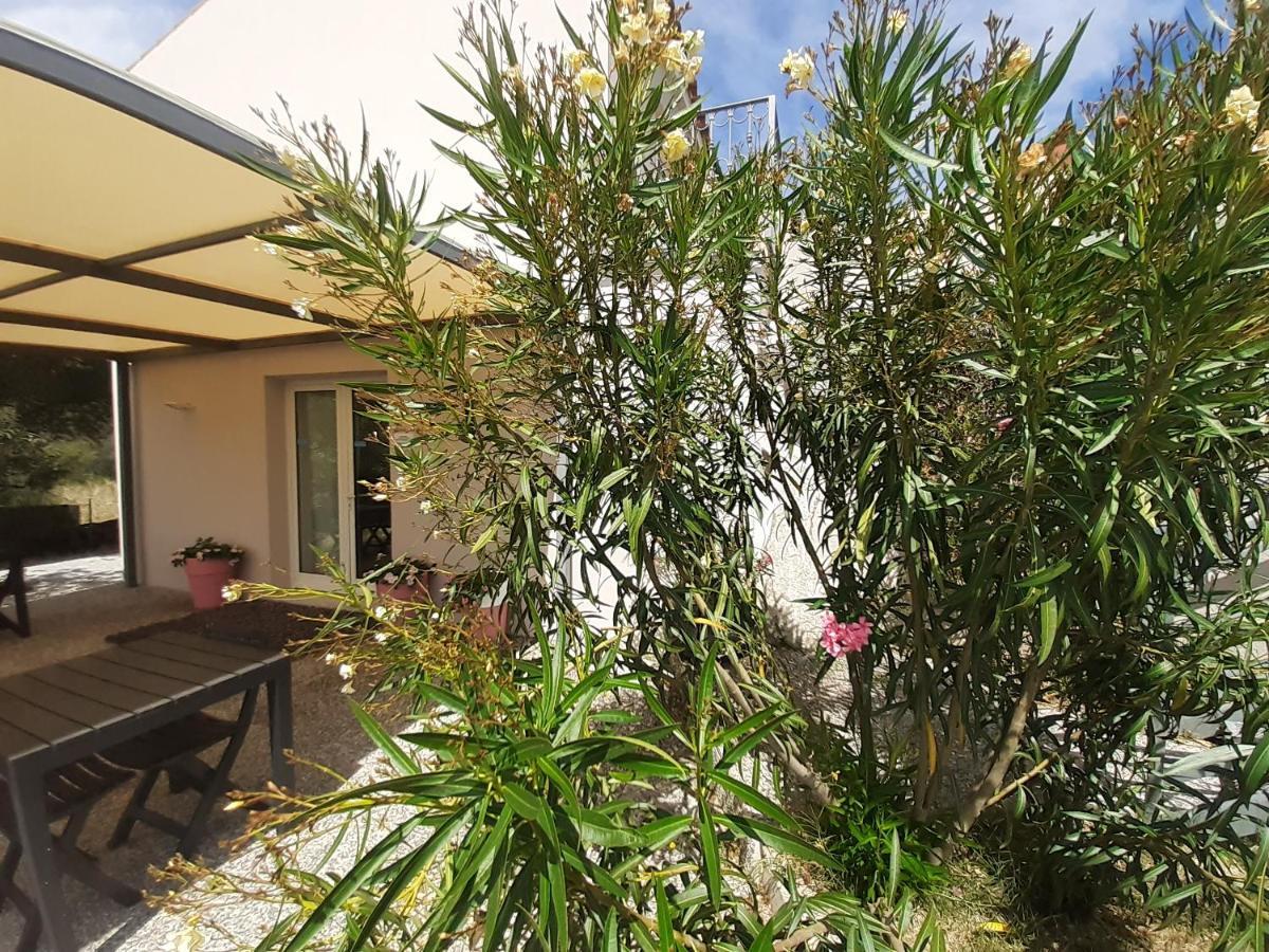 Sole&Sale Bed & Breakfast Сан Теодоро Екстериор снимка
