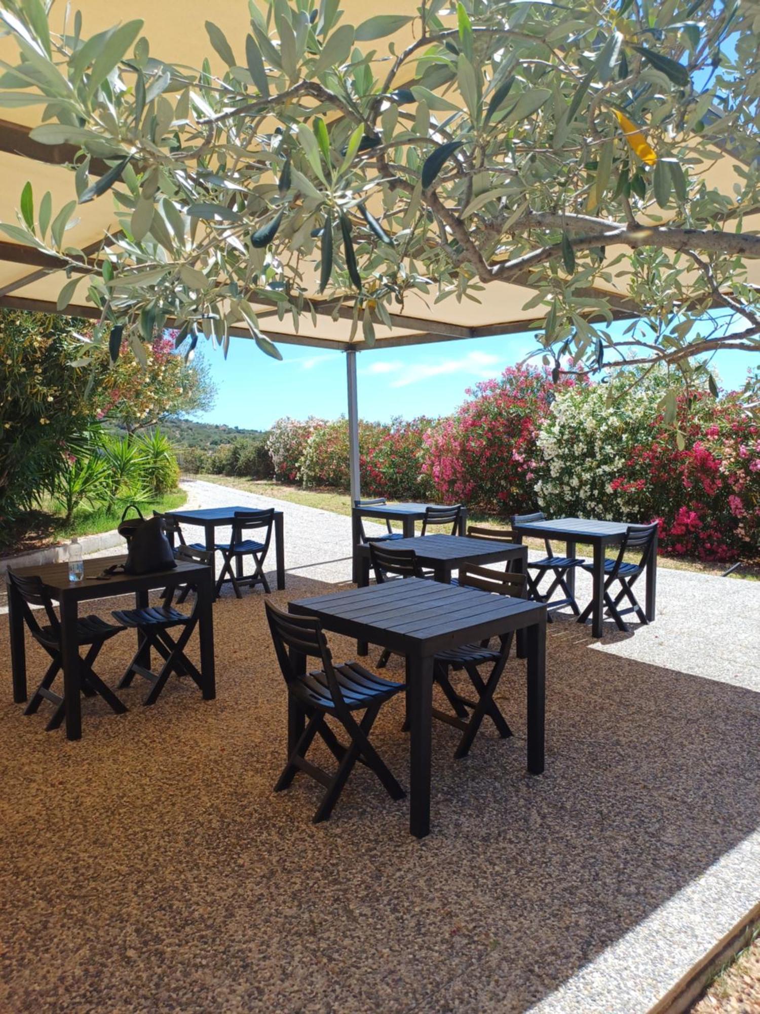 Sole&Sale Bed & Breakfast Сан Теодоро Екстериор снимка